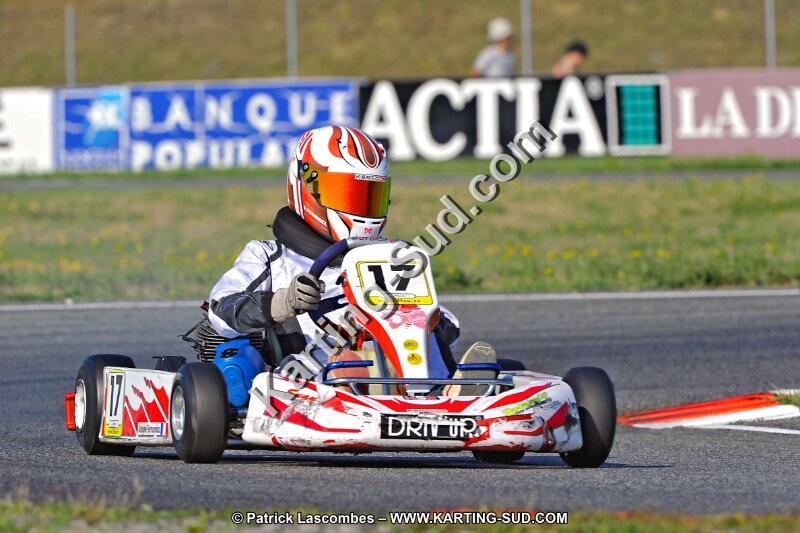 DSC_ (961).jpg